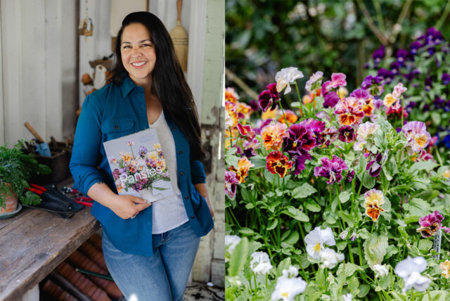 Where to find ruth dejong techniques expert shares tips