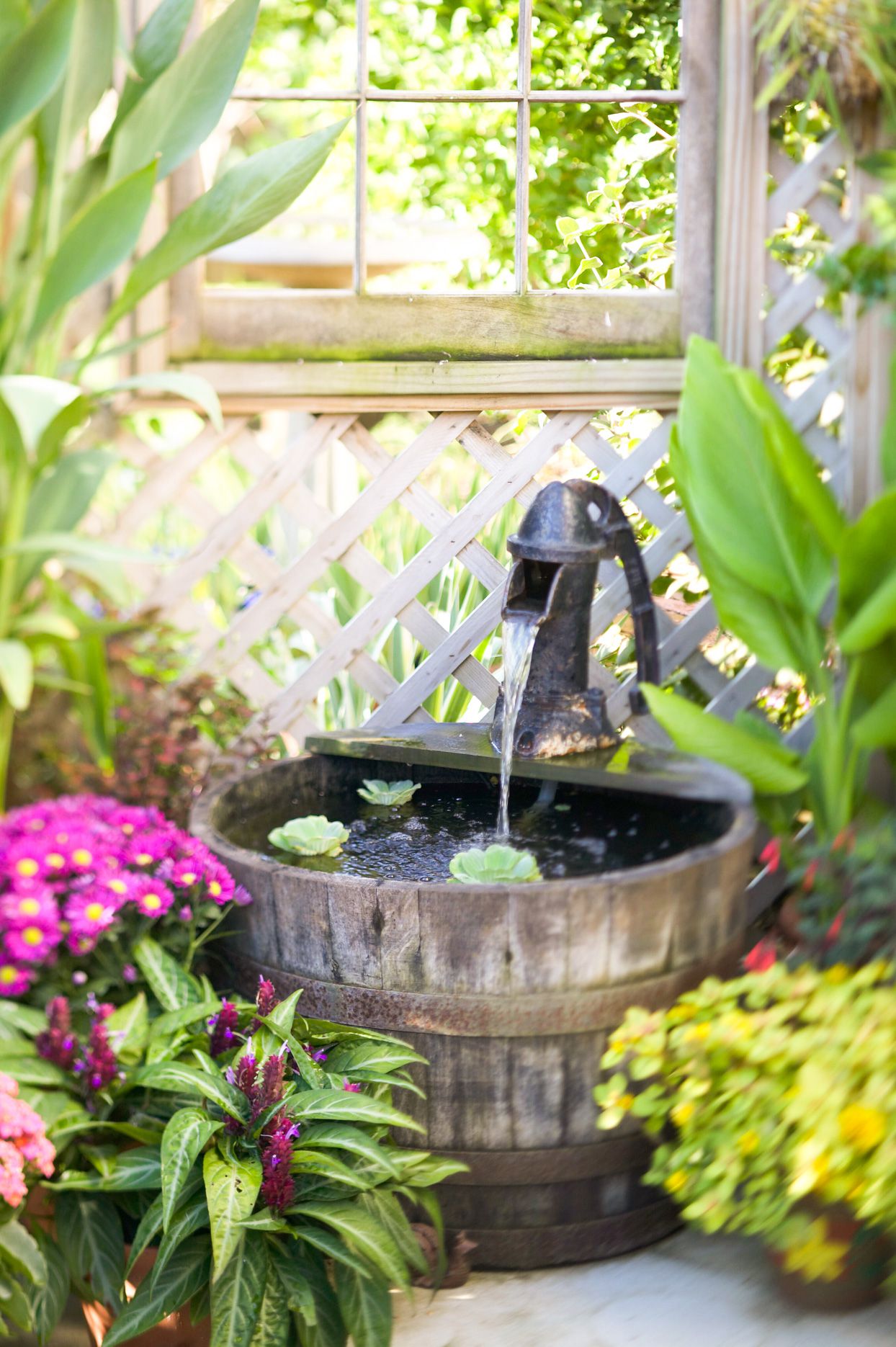 Best uses for small water electric pumps ideal home and garden solutions