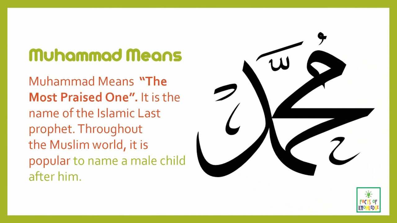 why use mohammed mohammed mohammed top benefits explained here