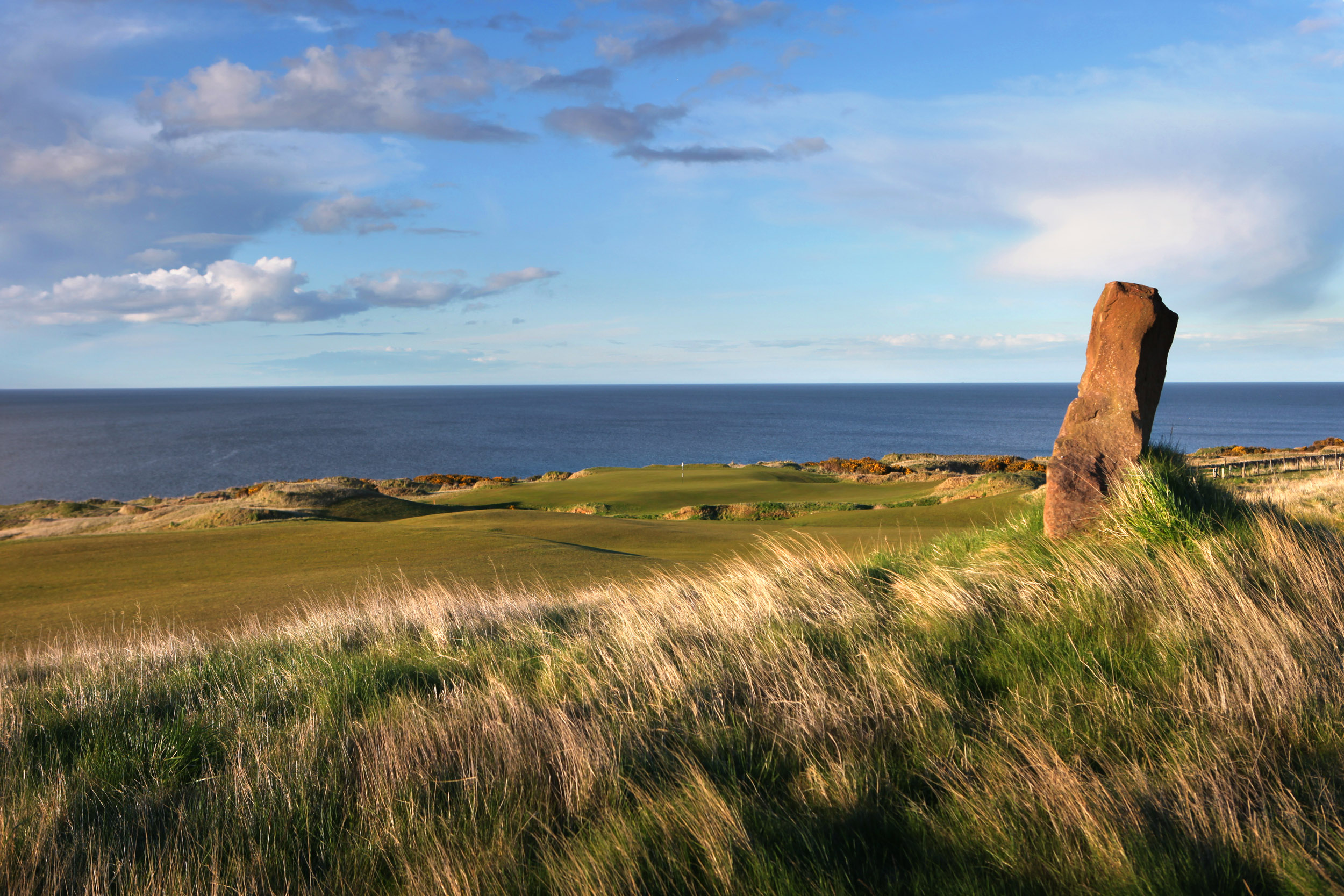 Best St Andrews Courses Guide Explore Top Degree Options Quickly!