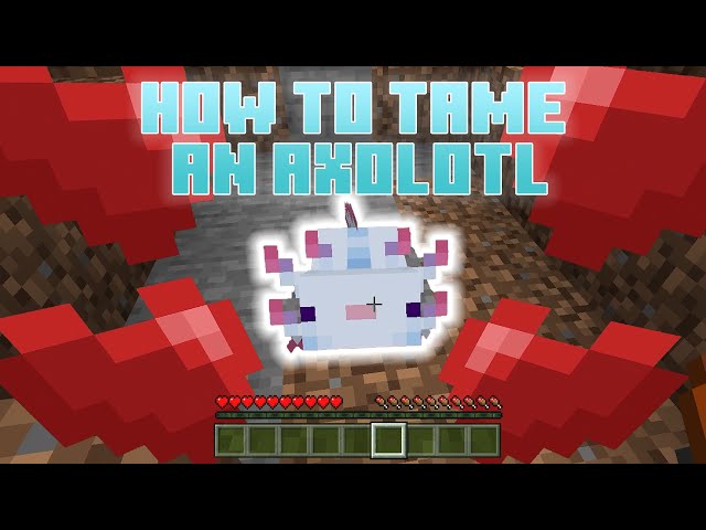 Want to Keep Axies? How to Tame Axolotls in Minecraft Successfully!