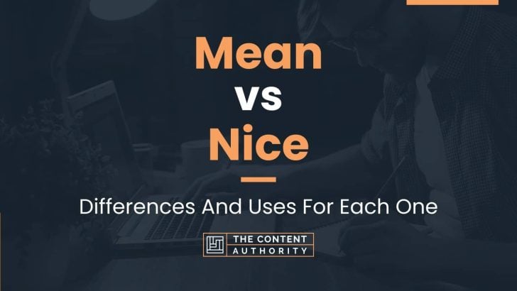 what is nice vs meaning learn the basic differences simply explained