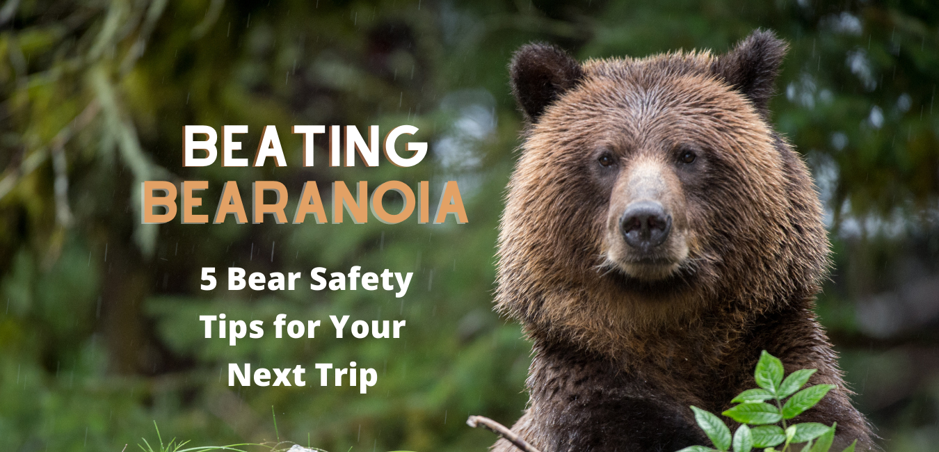 Wrestled a Bear 5 Essential Safety Tips Before Facing a Bear