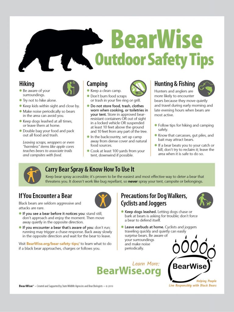 Wrestled a Bear 5 Essential Safety Tips Before Facing a Bear