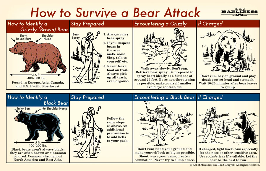 Wrestled a Bear 5 Essential Safety Tips Before Facing a Bear